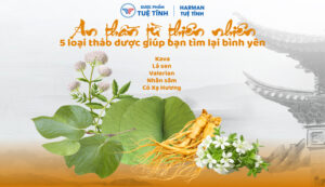 FTT_An_than_tu_thien_nhien_5_loai_thao_duoc_giup_ban_tim_lai_binh_yen-01-02