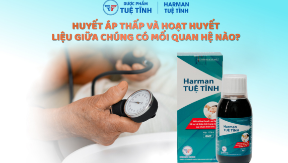 Huyết áp thấp và hoạt huyết: Liệu giữa chúng có mối quan hệ nào? 