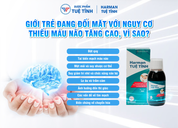 Đột phá sức khỏe với các cách tăng tuần hoàn máu não tự nhiên