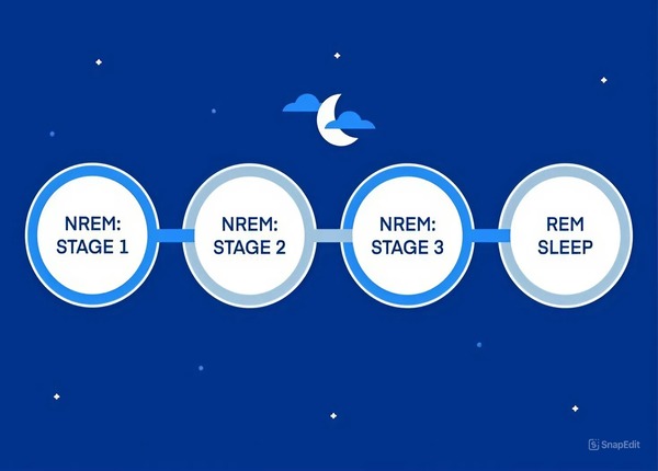 Muốn thức dậy lúc 6h sáng thì nên đi ngủ lúc mấy giờ?