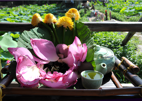 FTT-Tra-sen-giup-ngu-ngon-nhu-the-nao-cach-lam-tra-sen-tai-nha_1