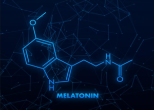 Melatonin là một loại hormone do tuyến tùng nằm sâu trong não sản xuất ra