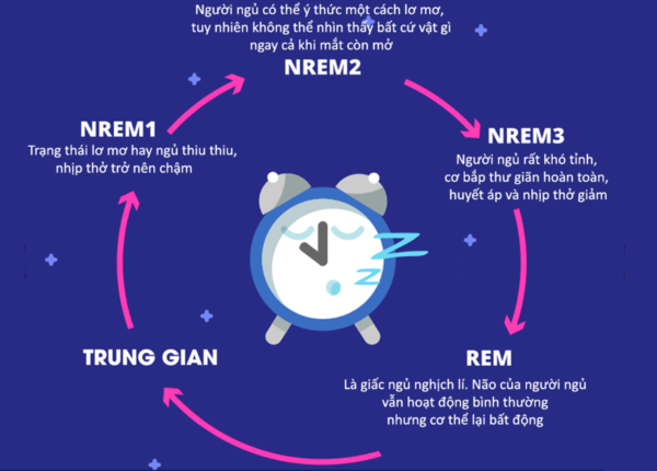 Chỉ số giấc ngủ cao đánh giá phần lớn thời gian cho giấc ngủ