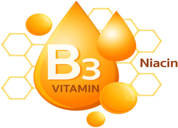 lợi ích Tryptophan cũng hỗ trợ cơ thể sản xuất niacin