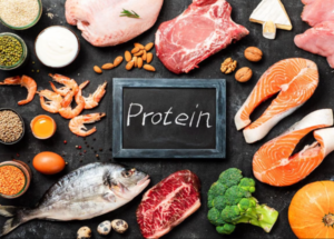 protein động vật cung cấp lượng chât đạm thiết yếu cho người dùng